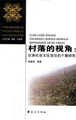 村落的视角 壮族社会文化变迁的个案研究