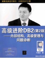 高级进阶DB2 第2版 内部结构、高级管理与问题诊断