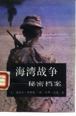 海湾战争 秘密档案