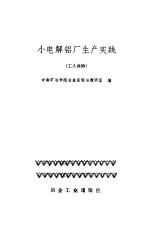 小电解铝厂生产实践
