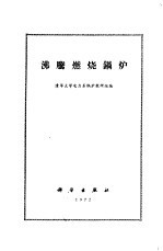 沸腾燃烧锅炉
