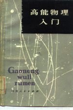 高能物理入门