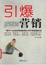 引爆营销:一部中小企业如何战胜强大对手的营销兵法