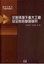灾害环境下重大工程安全性的基础研究
