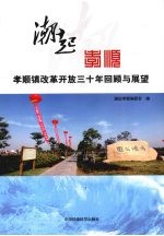 潮起孝顺 孝顺镇改革开放三十年回顾与展望