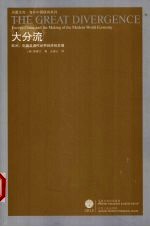 大分流 欧洲中国及现代世界经济的发展