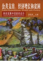 公共支出、增长和贫困:来自发展中国家的启示