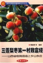 三晋梨枣第一村致富经：山西省临猗县庙上乡山东庄