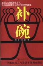 补碗  孝感农民工与基层干部调查报告