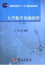 大学数学基础教程(下册)