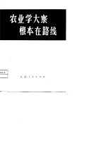 农业学大寨 根本在路线