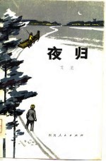 夜归 短篇小说集