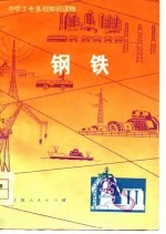 中学工业基础知识读物 钢铁