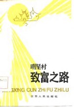 明星村致富之路