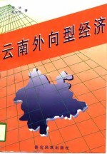 云南外向型经济