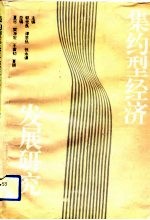 集约型经济发展研究