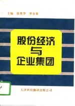 股份经济与企业集团