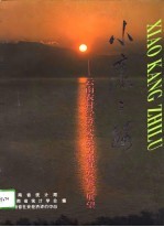 小康之路-云南农村经济综合实力强县发展与展望