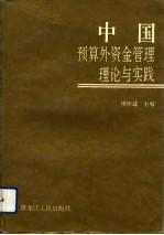 中国预算外资金管理理论与实践