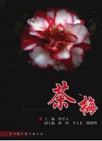 茶梅