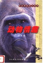 动物情趣