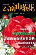 云南山茶花