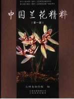 中国兰花精粹 第1部