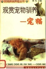 观赏宠物驯养 宠猫