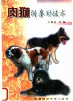 肉狗饲养新技术