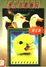现代养鸭顾问 修订版