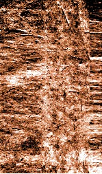 经典释文卷第六毛诗音义 中 毛诗音义中考证 、第七毛诗音义下 毛诗音义下考证