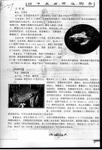 热带鱼品种及饲养 红裙鱼 帆鳍玛丽 菠萝鱼