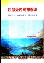 四念处内观禅修法：圆通静坐 内观禅定法 禅宗参证篇