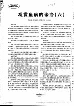 观赏鱼病的诊治 6