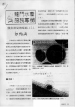 鳗鱼常见的疾病 7 白点病