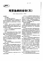 观赏鱼病的诊治 5