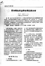 黄河鲤鱼形态特征的比较分析