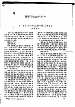 牙鲆的苗种生产