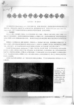 斑马鱼的种类与饲养管理