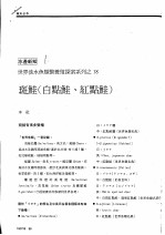 斑鲑 白点鲑、红点鲑