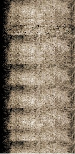 选学举要 卷5