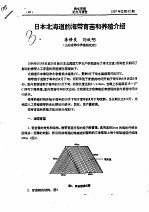 日本北海道的海带育苗和养殖介绍