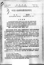 中国大鲵侧线器官的研究