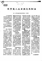 观赏鱼小瓜虫病及其防治