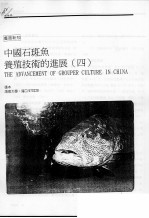 中国石斑鱼养殖技术的进展 4
