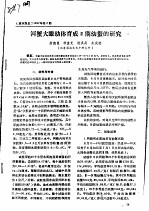 河蟹大眼幼体育成Ⅲ期幼蟹的研究