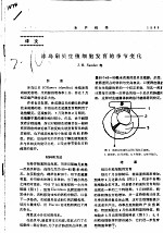 冰岛扇贝生殖细胞发育的季节变化