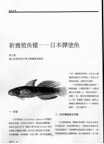 新养殖鱼种:日本弹涂鱼