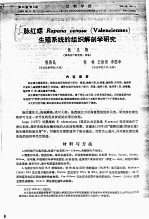脉红螺RAPANA VENOSA VALENCIENNES 生殖系统的组织解剖学研究