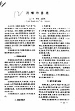 泥螺的养殖
